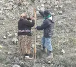 Taraklı Yolu Ağaçlandırılıyor…