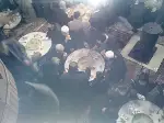  Askere Gidecek Gençler için Mevlit Okutuldu