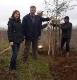 Taraklı Yolu Ağaçlandırılıyor…