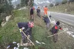 Taraklı Yolu Ağaçlandırılıyor…