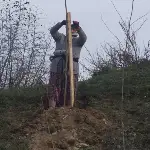 Taraklı Yolu Ağaçlandırılıyor…