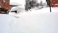 Burası Tuzla Mahallesi...