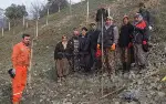 Taraklı Yolu Ağaçlandırılıyor…