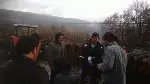 Mahalle’linin Yakacak Odun telaşı…