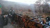 Mahalle’linin Yakacak Odun telaşı…