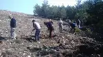 TARAKLI’DA YANAN ORMANLIK ALAN AĞAÇLANDIRILIYOR