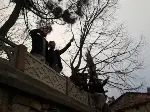 Akçapınar Mahallesinde Cep Telefonu Çilesi