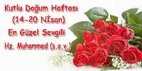 14-20 NİSAN KUTLU DOĞUM HAFTASI