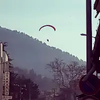 Uzun süre Taraklı Semalarında Dolaştı