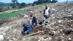 MAHDUMLAR MAHALLESİNDE 25 DÖNÜM ARAZİDE CEVİZ FİDANI DİKİLDİ