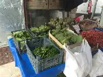 Taraklı’da Asma Yaprağı Rağbet Görüyor