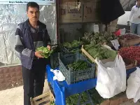 Taraklı’da Asma Yaprağı Rağbet Görüyor