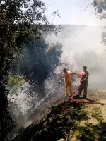 Taraklı'da Yangın