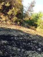 Tarlada Çıkan Yangın Korkuttu