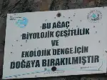 Üzerinde Tarihin İzleri Var...