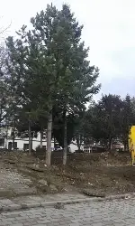 Kurşunu Camii Daha İyi Görünüyor.