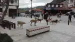 Meydan Onların…