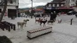 Meydan Onların…