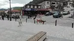 Meydan Onların…