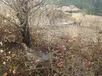 İtfaiye Ekipleri Tehlikeyi Büyümeden Önledi