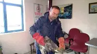 Aracın Çarpmasıyla Yaralanan Doğan Tedavi Altına Alındı