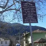 7 Asırlık Çınar Ağacı