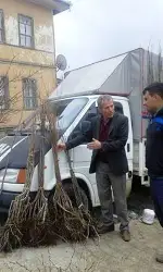 FİDAN SATIŞLARI BAŞLADI