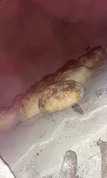 Ekmeğin Güzelliği Doğru Pişirmeyle Ortaya Çıkar
