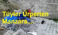 Papatya Sokak’ta Tüyler Ürperten Manzara