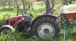 Mezarlıkta Zararlı Otlarla Mücadele