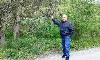 Ağaçlardaki Tomurcuklar Don Olayından Etkilendi