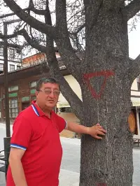 Allah Rızası için Ağaçlara İlgi