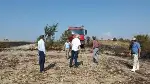 Buğday Taralasında Yangın