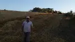 Arpa ve Buğday'da Hasat Başladı.