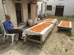 103 yaşındaki Muzaffer Gezer'in Tarhana Mesaisi