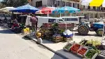 Taraklı'da Kurulan Üretici pazarları hem sağlıklı hem ucuz