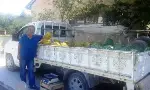 Taraklı'da Kurulan Üretici pazarları hem sağlıklı hem ucuz