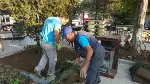 Meydan'da Çimlendirme Çalışması