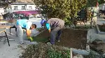Meydan'da Çimlendirme Çalışması