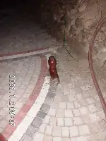 Hisar Tepesinde Yangın