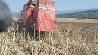 Duman Mahallesi ve Yöresinde Ayçiçeği Hasadı Yapıldı
