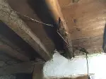 Çatısı Akan Evde Yaşam Mücadelesi