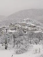 Sizden Gelen...