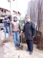 Pazarda Fidan Satışları Rağbet Görüyor