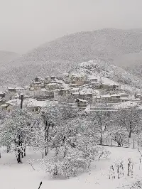Sizden Gelen...