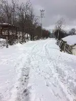 Kar Yağışı