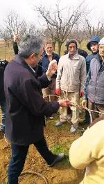 ÇİFTÇİLERE BUDAMA EĞİTİMİ VERİLDİ