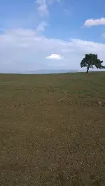 NİTRATLI GÜBRE KONTROLLERİ DEVAM EDİYOR.