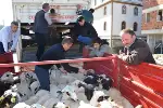 Küçükbaş Hayvan Dağıtımı Yapıldı