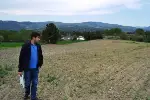 YEM BİTKİLERİ KONTROLERİ BAŞLADI